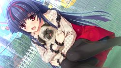Rule 34 | 1girl, animal, animal ears, asami asami, blue hair, blush, dog, dutch angle, game cg, grass, happy, highres, himekawa honami, holding, legs, long hair, looking at viewer, open mouth, pantyhose, pretty x cation 2, red eyes, skirt, sky, smile, squatting, thighs, tongue