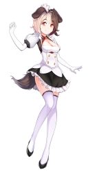 Rule 34 | 1girl, animal ears, black hair, blush, cleavage cutout, clothing cutout, dog ears, dog girl, dog tail, dress, full body, gloves, hachiko (last origin), hachiko of castling, highres, korean commentary, last origin, looking at viewer, multicolored hair, red eyes, riya m, short dress, smile, solo, split-color hair, tail, tareme, thighhighs, transparent background, two-tone hair, white gloves, white hair, white thighhighs