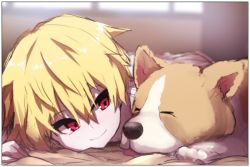 Rule 34 | 1boy, animal, bad id, bad pixiv id, blonde hair, blurry, blurry background, child gilgamesh (fate), closed eyes, closed mouth, depth of field, dog, fate/grand order, fate/hollow ataraxia, fate (series), gilgamesh (fate), hair between eyes, looking away, looking to the side, male focus, red eyes, smile, solo, tongue, tongue out, wada kazu, welsh corgi