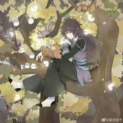 Rule 34 | 1boy, absurdres, artist request, bird, black hair, black pants, fengxi (the legend of luoxiaohei), full body, highres, leaf, long hair, pants, pointy ears, signature, sitting, smile, solo, squirrel, luo xiaohei zhanji, tree