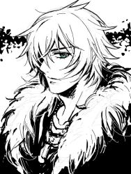 Rule 34 | 1boy, akira (togainu no chi), dog tags, fur, green eyes, hair over one eye, jewelry, male focus, monochrome, necklace, oekaki, short hair, solo, spot color, togainu no chi