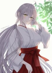 Rule 34 | 1girl, ahoge, backlighting, blush, breasts, fate/grand order, fate (series), grey hair, hakama, highres, japanese clothes, jeanne d&#039;arc alter (avenger) (fate), jeanne d&#039;arc alter (fate), kimono, large breasts, long hair, long sleeves, looking at viewer, low ponytail, omizu (omz), red hakama, solo, very long hair, white kimono, wide sleeves, yellow eyes