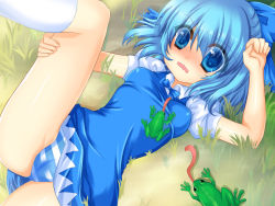 Rule 34 | 1girl, blue eyes, blue hair, blush, bow, cirno, embodiment of scarlet devil, female focus, frog, hair bow, matching hair/eyes, nature, outdoors, panties, ratise, short hair, socks, solo, striped clothes, striped panties, touhou, underwear
