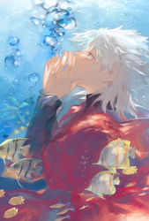 Rule 34 | 1boy, air bubble, amakusa shirou (fate), bubble, cape, crystal earrings, earrings, fate/apocrypha, fate/grand order, fate (series), fish, highres, jewelry, long hair, male focus, ocean, open mouth, orange eyes, red cape, solo, spiked hair, submerged, surume (su1193), underwater, upper body, water, white hair