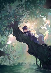 Rule 34 | 1boy, branch, fengxi (the legend of luoxiaohei), highres, kero77, leaf, long hair, looking at viewer, nature, outdoors, purple hair, shadow, solo, tail, luo xiaohei zhanji, wide shot