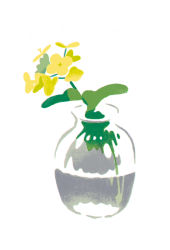 Rule 34 | artist name, blending, flower, hirasawa minami, leaf, no humans, no lineart, original, partially immersed, photo-referenced, plant, rapeseed blossoms, refraction, simple background, still life, transparent, vase, water, white background, yellow flower