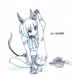 1girl animal_ears barefoot blue_eyes bob_cut breasts cat_ears cat_tail commentary_request female_focus flexible highres kneepits leg_up licking_self medium_breasts ms._fortune_(skullgirls) nakahara_kaihei nakahara_keihei scar short_hair shorts sitting sketch skullgirls smile solo spot_color tail underboob