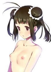 Rule 34 | 10s, 1girl, absurdres, antenna hair, blush, breasts, brown eyes, brown hair, double bun, gaou (umaiyo puyoman), hair bun, highres, kantai collection, naka (kancolle), nipples, nude, short hair, simple background, sketch, small breasts, solo, white background