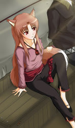Rule 34 | 1boy, 1girl, animal ears, artist request, blush, brown hair, craft lawrence, holo, long hair, sitting, solo focus, spice and wolf, tail