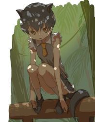 Rule 34 | 10s, 1girl, animal ears, black hair, brown eyes, brown footwear, clenched hands, collar, collared shirt, convenient censoring, convenient leg, d:, dappled sunlight, expressionless, eyelashes, flat chest, forest, fossa (kemono friends), fossa ears, fossa tail, frilled sleeves, frills, full body, grey skirt, hands on feet, kemono friends, light particles, loafers, long arms, looking at viewer, miniskirt, nature, necktie, on railing, open mouth, outdoors, palm tree, parted lips, plant, pleated skirt, railing, shirt, shoes, short hair, short necktie, short sleeves, sketch, skirt, socks, solo, squatting, sunlight, tail, tank top, tree, tsurime, very short hair, vines, white shirt, yoshida on