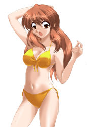 Rule 34 | 00s, asahina mikuru, bikini, brown eyes, brown hair, long hair, solo, suzumiya haruhi no yuuutsu, swimsuit, yadokari genpachirou, yellow bikini