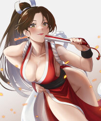 Rule 34 | 1girl, breasts, fatal fury, highres, large breasts, long hair, ponytail, shiranui mai, smile, solo