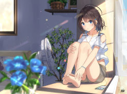 Rule 34 | 1girl, ahoge, barefoot, blue eyes, blue flower, blurry, brown hair, cellphone, collarbone, curtains, day, depth of field, earbuds, earphones, electric fan, feet, flower, grey shorts, hair ornament, hairclip, highres, indoors, knees up, lens flare, looking at viewer, miko fly, open window, original, parted lips, phone, plant, potted plant, shelf, shirt, short shorts, short sleeves, shorts, signature, sitting, smartphone, soles, solo, summer, thighs, white shirt, window, windowsill
