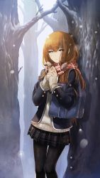 Rule 34 | 1girl, absurdres, alternate costume, bag, bare tree, black pantyhose, blue eyes, blush, bookbag, brown hair, coat, cowboy shot, highres, huke, long hair, long sleeves, looking at viewer, makise kurisu, miniskirt, official art, own hands clasped, own hands together, pantyhose, pleated skirt, ribbed sweater, scarf, skirt, snow, solo, standing, steins;gate, straight hair, sweater, tree