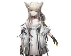 Rule 34 | 1girl, animal ears, arknights, arknights: endfield, belt, black gloves, blue eyes, character name, closed mouth, copyright name, cowboy shot, dress, gloves, high belt, jacket, light brown hair, looking at viewer, off shoulder, official art, perlica (arknights), pouch, simple background, sleeveless, sleeveless dress, solo, tachi-e, transparent background, white jacket