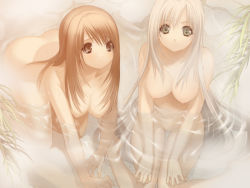 Rule 34 | 2girls, all fours, as (artist), ass, breasts, brown eyes, brown hair, from above, green eyes, kagura mirei, kamikaze (as), large breasts, long hair, looking up, mikoto (kamikaze), multiple girls, nipples, nude, onsen, original, sitting, very long hair, water, wet, white hair