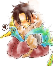 Rule 34 | 2boys, animal, bird, blue fire, carrying, chocco924, earmuffs, fire, freckles, gloves, jacket, male focus, marco (one piece), multiple boys, one piece, phoenix, portgas d. ace, smile