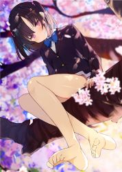Rule 34 | 1girl, arm support, bare legs, barefoot, black hair, black shirt, blazer, blue bow, blue bowtie, blurry, blurry background, blush, bow, bowtie, branch, cherry blossoms, closed mouth, collared shirt, commentary request, depth of field, full body, jacket, kamizaki hibana, legs, long sleeves, looking at viewer, medium hair, original, parted bangs, purple eyes, shirt, sidelocks, sitting, skirt, solo, thighs, two side up, uniform