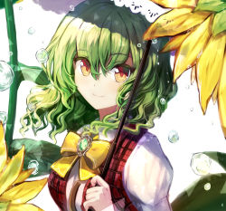 Rule 34 | 1girl, blush, bow, bowtie, brooch, closed mouth, colored eyelashes, flower, fuepo, gem, hair between eyes, highres, holding, holding umbrella, jewelry, kazami yuuka, looking at viewer, medium hair, open clothes, open vest, plaid, plaid vest, red eyes, red vest, shirt, simple background, smile, solo, sunflower, touhou, umbrella, upper body, vest, water, water drop, wavy hair, white background, white shirt, yellow bow, yellow bowtie