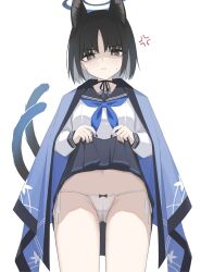 Rule 34 | 1girl, absurdres, anger vein, animal ears, black eyes, black hair, black sailor collar, black skirt, blue archive, blue neckerchief, blush, cat ears, cat tail, chinese commentary, clenched teeth, clothes lift, cowboy shot, haori, highres, japanese clothes, kikyou (blue archive), lifting own clothes, long sleeves, looking at viewer, multiple tails, neckerchief, panties, pleated skirt, sailor collar, school uniform, serafuku, shaded face, shasha (shasha159357), short hair, simple background, skirt, skirt lift, solo, tail, teeth, two tails, underwear, white background, white panties