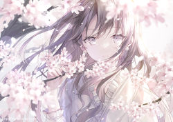 Rule 34 | 1girl, branch, brown hair, collarbone, commentary request, flower, frills, grey eyes, hair between eyes, hand up, kagachi saku, long hair, looking at viewer, original, parted lips, pink flower, signature, solo