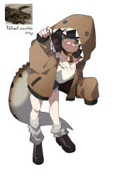 Rule 34 | 1girl, absurdres, animal hood, asymmetrical legwear, black footwear, black hair, brown collar, brown jacket, brown scales, closed mouth, collar, crocodile hood, crocodilian tail, full body, gomulgong, hand on headwear, hands up, highres, hood, jacket, leg warmers, lock, long sleeves, looking to the side, open mouth, original, padlock, padlocked collar, personification, photo inset, reptile girl, scales, short hair, shorts, sidelocks, simple background, sleeves past fingers, sleeves past wrists, slit pupils, socks, solo, standing, tail, uneven legwear, white background, white socks, yellow eyes