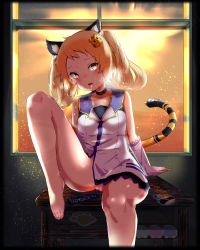 Rule 34 | 1girl, animal ears, bare legs, barefoot, bee sang (ms0603749), black choker, blonde hair, blush, breasts, cat ears, cat tail, choker, collarbone, desk, dress, dust, fangs, fingerless gloves, glint, gloves, hair ornament, highres, hoonie (hoonie friends), hoonie friends, looking at viewer, no panties, open mouth, panda, pantyhose, plug, pussy, saliva, school desk, shirt, sitting, sitting on table, sleeveless, sleeveless shirt, solo, sticker, sweatdrop, table, tail, tiger ears, tiger hair ornament, tooth, virtual youtuber, window, yellow eyes