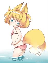 Rule 34 | 1girl, animal ears, bikini, blonde hair, blue eyes, croixsan, female focus, flat chest, fox ears, fox tail, looking at viewer, original, partially submerged, short hair, simple background, solo, swimsuit, tail, two side up, water, white background