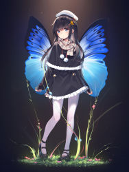 Rule 34 | 1girl, black background, black dress, black footwear, blue eyes, blunt bangs, butterfly hair ornament, butterfly wings, capelet, closed mouth, coffeiz p, dress, flower, full body, grass, hair ornament, hat, highres, insect wings, legs apart, light blush, light particles, light rays, long hair, long sleeves, looking at viewer, original, pantyhose, plaid, plaid scarf, sailor hat, scarf, short dress, sidelocks, sleeves past wrists, solo, standing, straight hair, sunbeam, sunlight, white pantyhose, wings