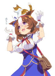 Rule 34 | 1girl, :3, @ @, animal, animal ears, animal on head, bag, between breasts, blue jacket, blush, breasts, buttons, cat, cat on head, collared shirt, double-breasted, gloves, hairband, horse ears, jacket, kuro work, looking up, medium breasts, medium hair, meisho doto (umamusume), multicolored hair, on head, open mouth, purple eyes, real life, shirt, short sleeves, shoulder bag, solo, strap between breasts, sweatdrop, two-tone hair, umamusume, upper body, white background, white gloves, white shirt