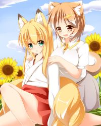 Rule 34 | 2girls, animal ears, bad id, bad pixiv id, blonde hair, blue sky, breasts, brown eyes, brown hair, cloud, day, dog ears, dog tail, flower, fox ears, fox tail, green eyes, hair ornament, hairclip, hajime (ak-r), hakama, hakama skirt, japanese clothes, kneeling, large breasts, light brown hair, long sleeves, maki-chan, miko, multiple girls, multiple tails, open mouth, original, personification, puffy short sleeves, puffy sleeves, red hakama, shiba inu, shirt, short sleeves, shoulder massage, sitting, skirt, sky, smile, sunflower, tail
