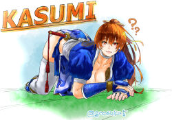 Rule 34 | 1girl, ?, breasts, character name, dead or alive, goosuka, kasumi (doa), large breasts, looking at viewer, ponytail, solo