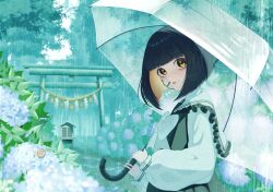 Rule 34 | 1girl, black hair, blonde hair, bow, colored inner hair, commentary request, dress, expressionless, flower, frilled sailor collar, frills, gauze, highres, holding, holding umbrella, hydrangea, large bow, long sleeves, looking at viewer, motida tamago, multicolored hair, nature, original, outdoors, parted lips, rain, revision, sailor collar, sailor dress, scenery, short hair, snail, torii, transparent, transparent umbrella, two-tone hair, umbrella, upper body, yellow eyes