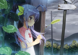 Rule 34 | 1girl, antenna hair, blush, bug, bus stop, cattail, cloud, commentary request, flower, hair ribbon, bug, ladybug, long hair, miyauchi renge, mountain, non non biyori, outdoors, plant, power lines, purple hair, rain, red eyes, ribbon, road sign, scenery, short sleeves, sign, solo, sunflower, twintails, utility pole, wet, wet clothes, zimajiang