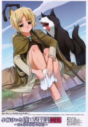 Rule 34 | 1girl, absurdres, animal, bag, barefoot, blonde hair, blush, brown eyes, cape, day, dog, enekk, feet, highres, koume keito, nora arento, ponytail, scan, shepherd, shepherd&#039;s crook, short hair, sitting, skirt, sky, smile, soaking feet, solo, spice and wolf, spread toes, staff, toes, water, wet