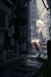 Rule 34 | + +, 1girl, air conditioner, animal ears, bottle, building, cable, can, cat ears, closed mouth, dress, fern, flower, grass, grey dress, grey eyes, highres, industrial pipe, long sleeves, looking at viewer, m. (emudotto), original, outdoors, shoes, sitting, solo, stairs, water, water bottle, white flower, white footwear, white hair