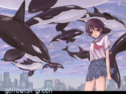 Rule 34 | 1girl, city, fish, flying fish, kimidorin, orca, original, school uniform, serafuku, solo