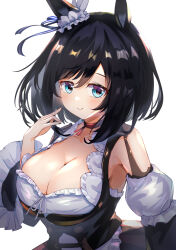 Rule 34 | 1girl, animal ears, bare shoulders, black dress, black hair, blue eyes, blush, breasts, cleavage, closed mouth, detached sleeves, dress, eishin flash (umamusume), frilled sleeves, frills, hair between eyes, hand up, highres, horse ears, large breasts, layered sleeves, long sleeves, meyamu, puffy short sleeves, puffy sleeves, short over long sleeves, short sleeves, simple background, smile, solo, umamusume, upper body, white background, wide sleeves