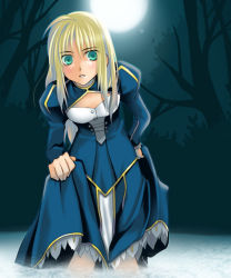 Rule 34 | alternate hairstyle, artoria pendragon (all), artoria pendragon (fate), blonde hair, clothes lift, fate/stay night, fate (series), full moon, green eyes, hair down, moon, nina (pastime), saber (fate), skirt, skirt lift, solo