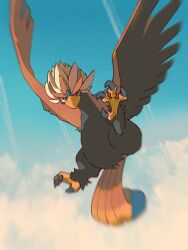 Rule 34 | above clouds, animal focus, bird, blurry, braviary, cloud, commentary request, creatures (company), day, flying, game freak, gen 5 pokemon, grey eyes, highres, looking at viewer, nintendo, outdoors, pokemon, pokemon (creature), ron (skfa8772), talons