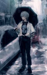 Rule 34 | 1girl, 7ife, androgynous, bad id, bad twitter id, black footwear, black pants, black shirt, car, ear piercing, full body, grey eyes, grey hair, highres, holding, holding umbrella, jewelry, long sleeves, motor vehicle, necklace, open clothes, open shirt, original, outdoors, pants, piercing, profile, shirt, shoes, short hair, solo, standing, t-shirt, umbrella, white shirt