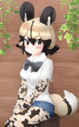 Rule 34 | 1girl, absurdres, african wild dog (kemono friends), african wild dog print, animal ears, bow, bowtie, breast pocket, camouflage, commentary request, denim, denim shorts, dog ears, dog tail, highres, huge filesize, kemono friends, pantyhose under shorts, log, multicolored hair, pantyhose, pocket, shirt under shirt, shorts, sitting, solo, tail, talented feather