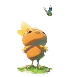 Rule 34 | bird, bug, butterfly, chick, commentary request, creatures (company), game freak, gen 3 pokemon, grass, highres, insect, jako (boke poke), looking up, nintendo, no humans, pokemon, pokemon (creature), rock, standing, torchic, twitter username, white background