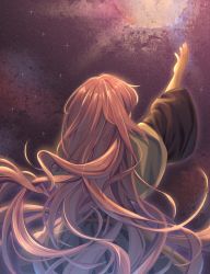 Rule 34 | 1other, androgynous, capelet, clause (len&#039;en), from behind, highres, jian xing zao, len&#039;en, long hair, night, night sky, outstretched arm, purple hair, sky, solo, star (sky), starry sky, wide sleeves