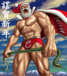 Rule 34 | 10s, 1boy, 2013, abs, animal, beard, capelet, christmas, cloud, dated, facial hair, hat, holding, holding animal, male focus, male swimwear, manly, matataku, muscular, navel, nipples, open mouth, red male swimwear, red swim briefs, santa claus, santa costume, santa hat, signature, sky, snake, solo, swim briefs, swimsuit, topless male, translation request, white hair