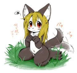 Rule 34 | :&lt;, animal ears, animal nose, black fur, blonde hair, blush stickers, body fur, claws, collarbone, commentary request, furry, futaba channel, grass, long hair, looking at viewer, navel, nekonohige, nude, red eyes, sitting, tail, tail wagging, translation request, two-tone fur, white fur