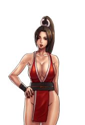 Rule 34 | 1girl, absurdres, breasts, darji, fatal fury, highres, large breasts, long hair, ponytail, shiranui mai, simple background, solo