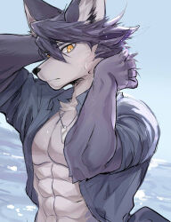Rule 34 | 1boy, abs, animal ears, ao (chung0u0), arms behind head, bara, blue sky, commentary request, dog boy, dog ears, furry, furry male, highres, jewelry, korean commentary, kouya aotsuki, looking at viewer, male focus, morenatsu, muscular, muscular male, necklace, pectorals, sky, water, yellow eyes