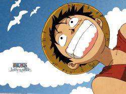 Rule 34 | 1boy, bird, black hair, blue sky, character name, cloud, copyright name, hat, highres, male focus, monkey d. luffy, one piece, red vest, scar, sky, smile, solo, straw hat, teeth, vest, wallpaper