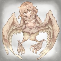 Rule 34 | 1girl, feathered wings, feathers, female focus, harpy, highres, monster girl, navel, original, pippi (artist), smile, solo, wings